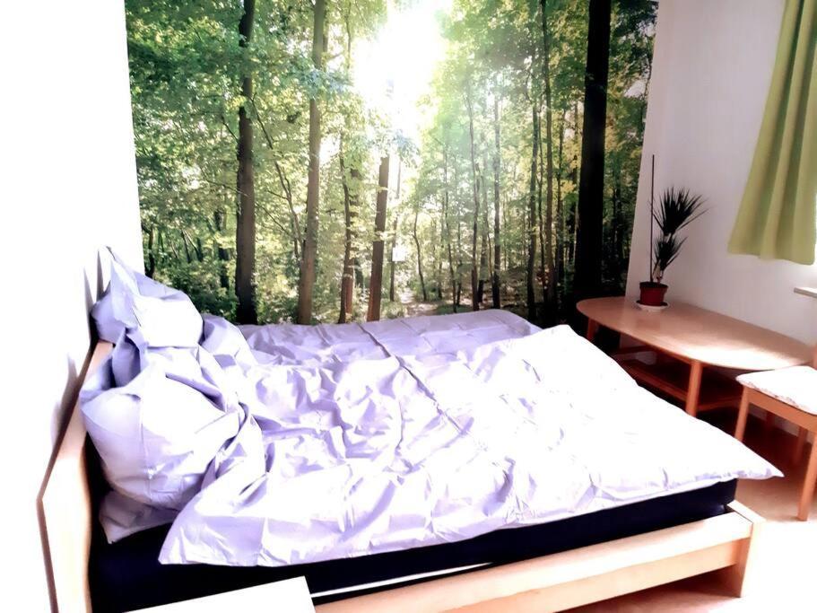 Zentral Und Doch Natur 쾰른 외부 사진